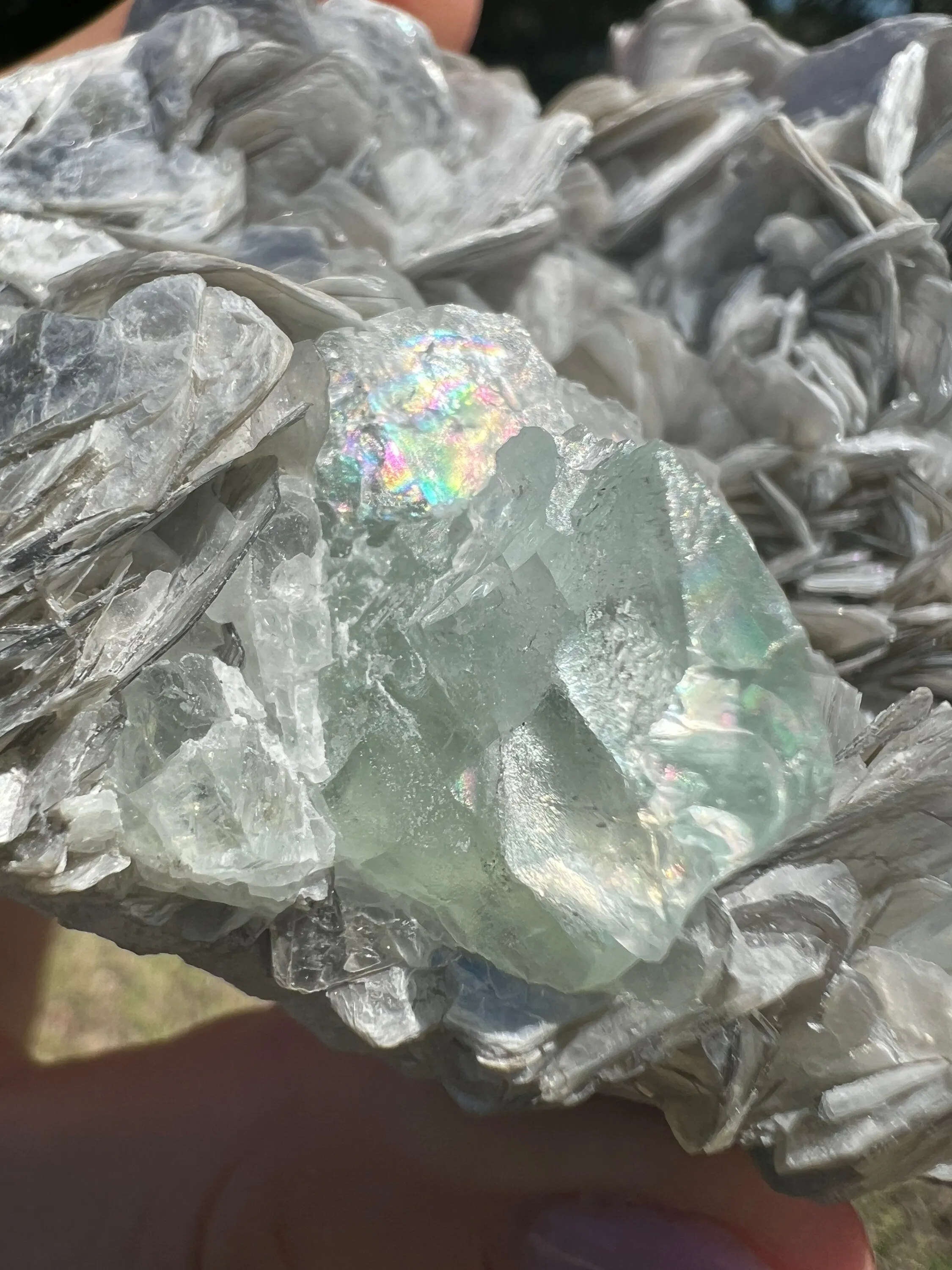 Aquamarine on muscovite cluster 1pound 1oz