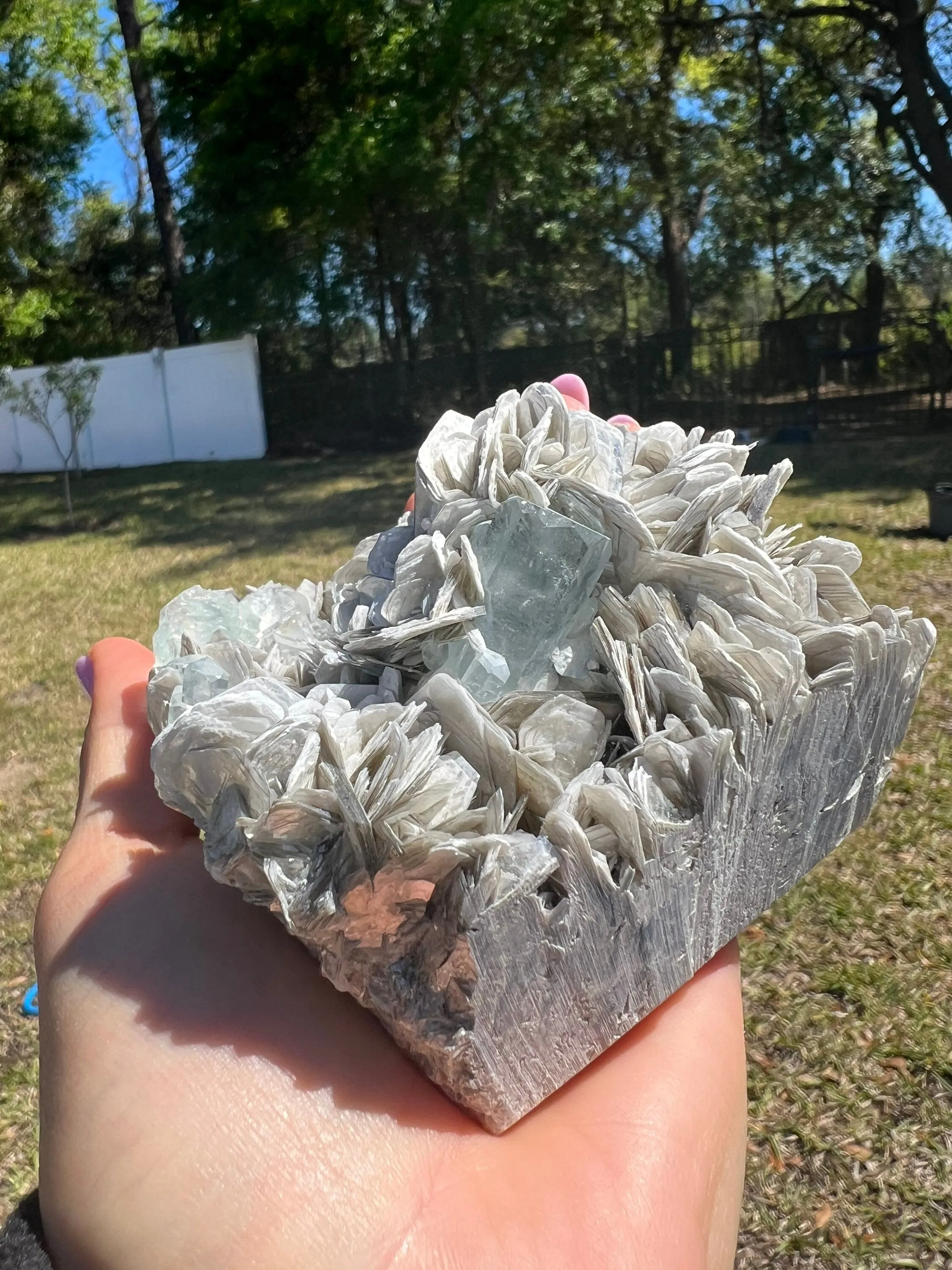 Aquamarine on muscovite cluster 1pound 1oz