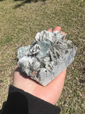 Aquamarine on muscovite cluster 1pound 1oz