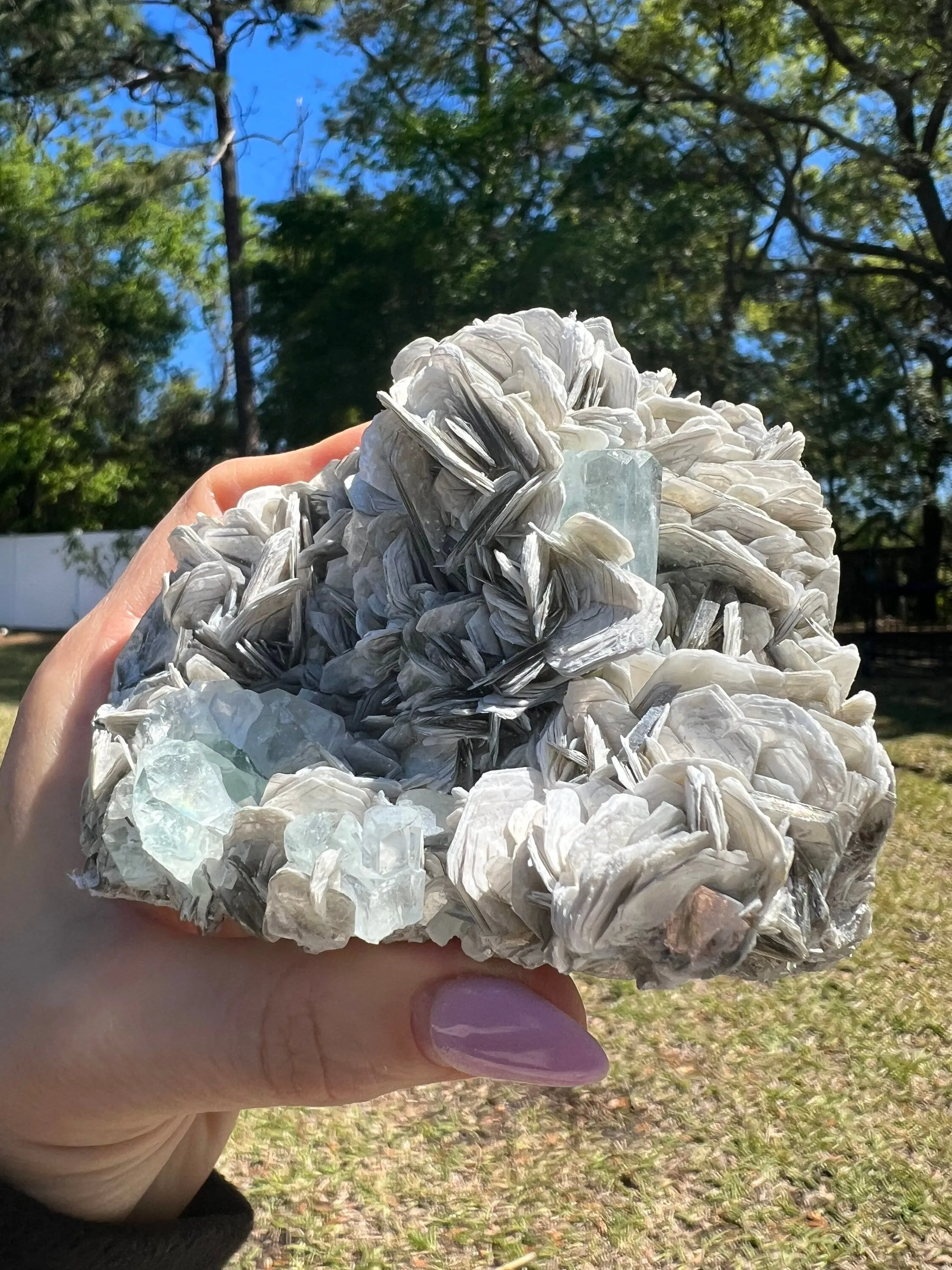 Aquamarine on muscovite cluster 1pound 1oz