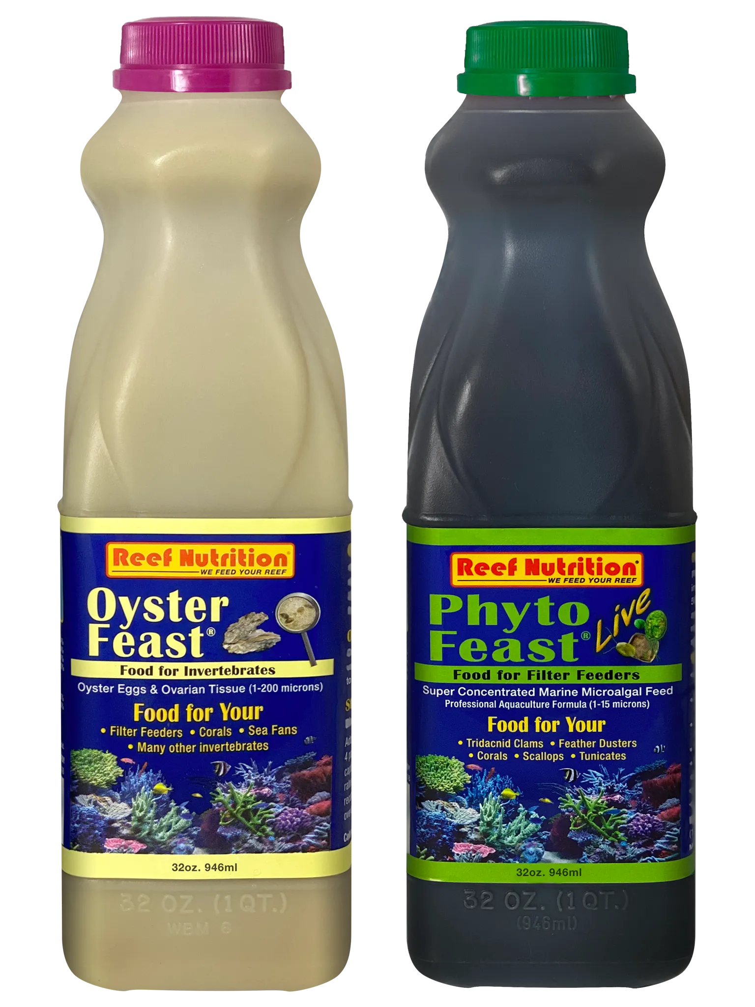 CORAL INVERTEBRATE LIVE PACK (L)
