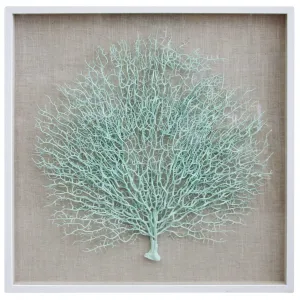 Framed Fan Coral Aquamarine