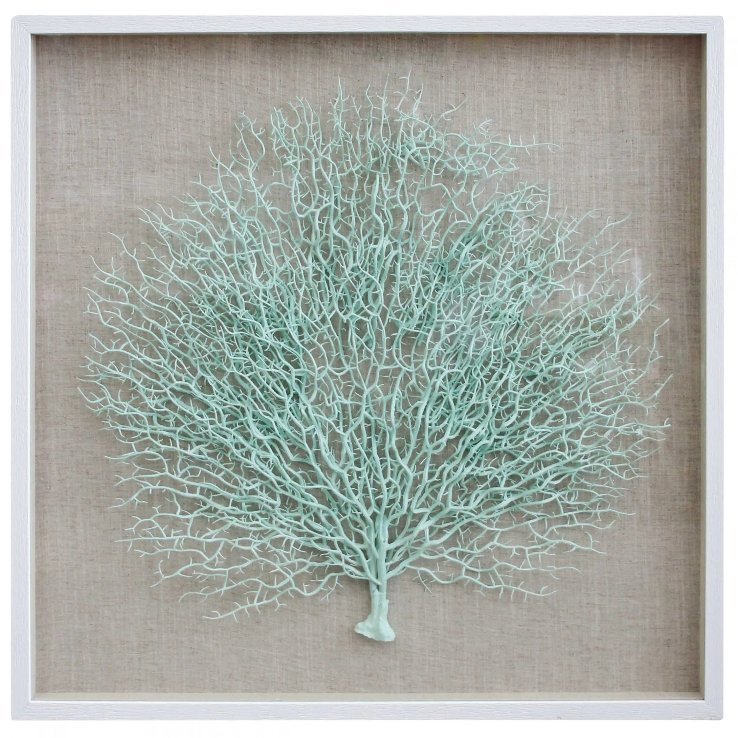 Framed Fan Coral Aquamarine
