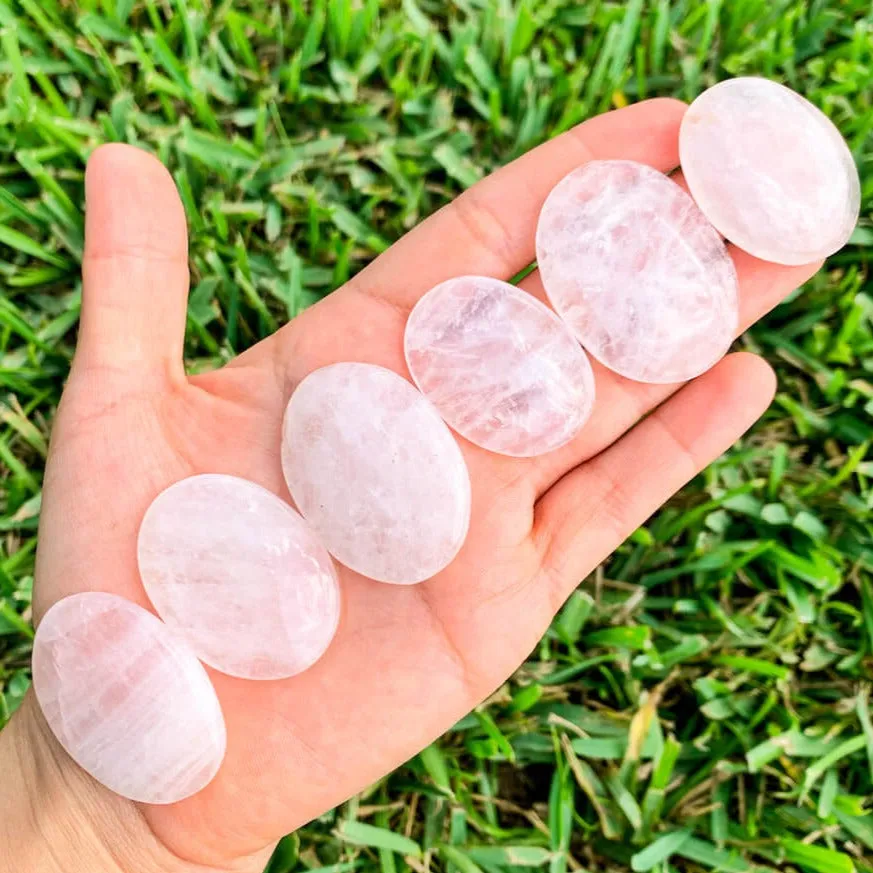 Natural Gemstone Palm Stone