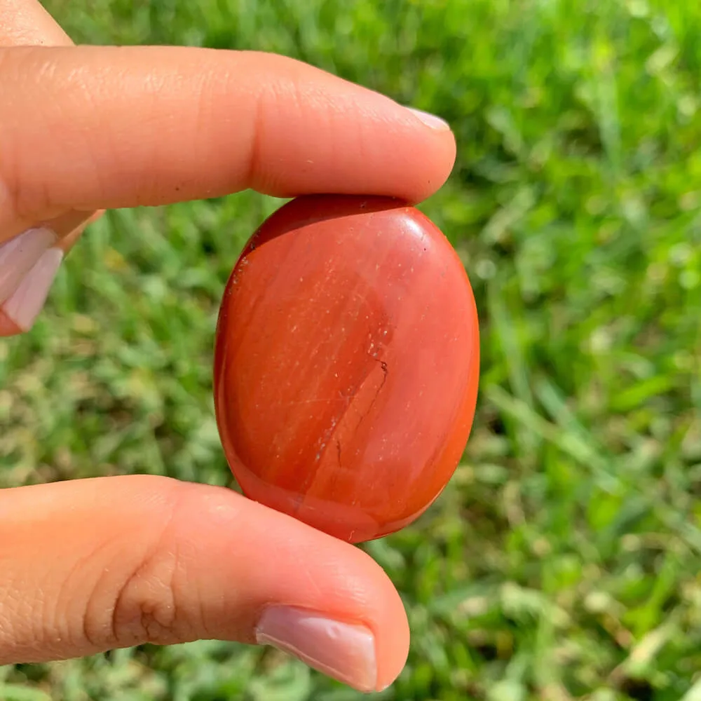Natural Gemstone Palm Stone