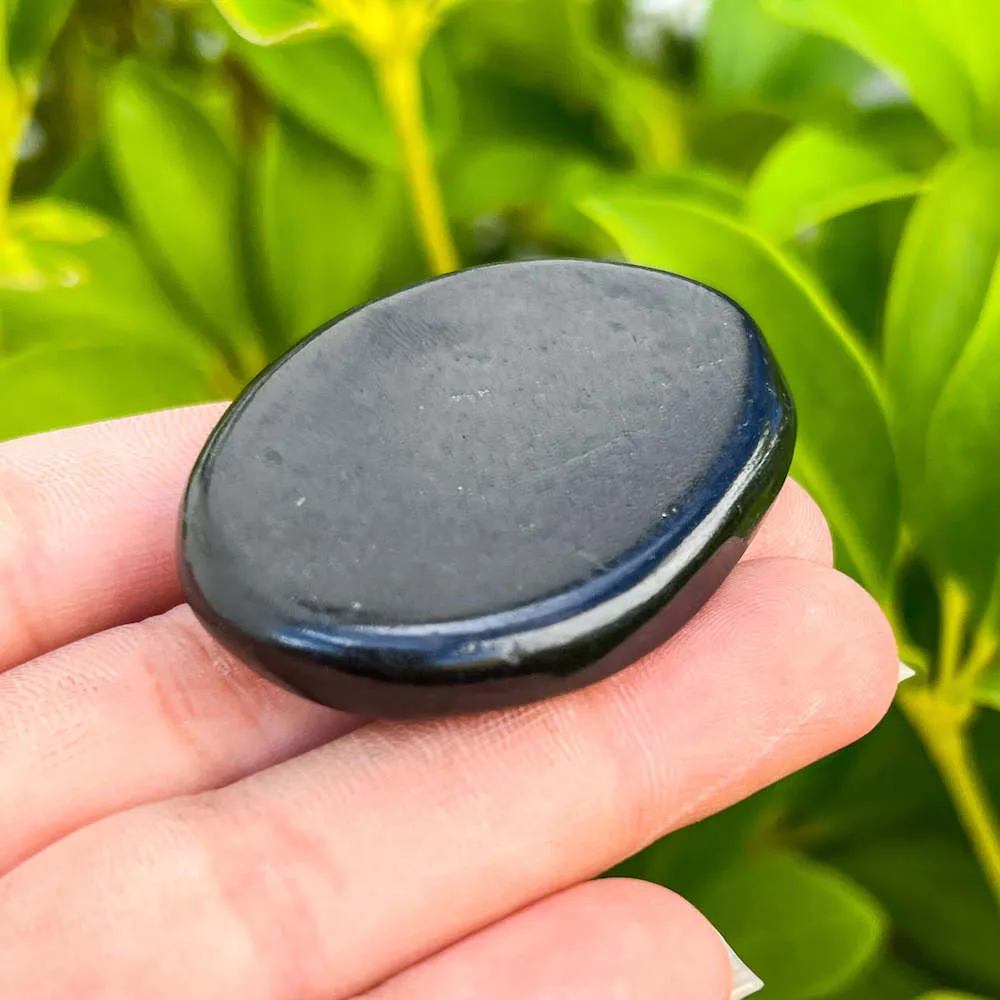 Natural Gemstone Palm Stone