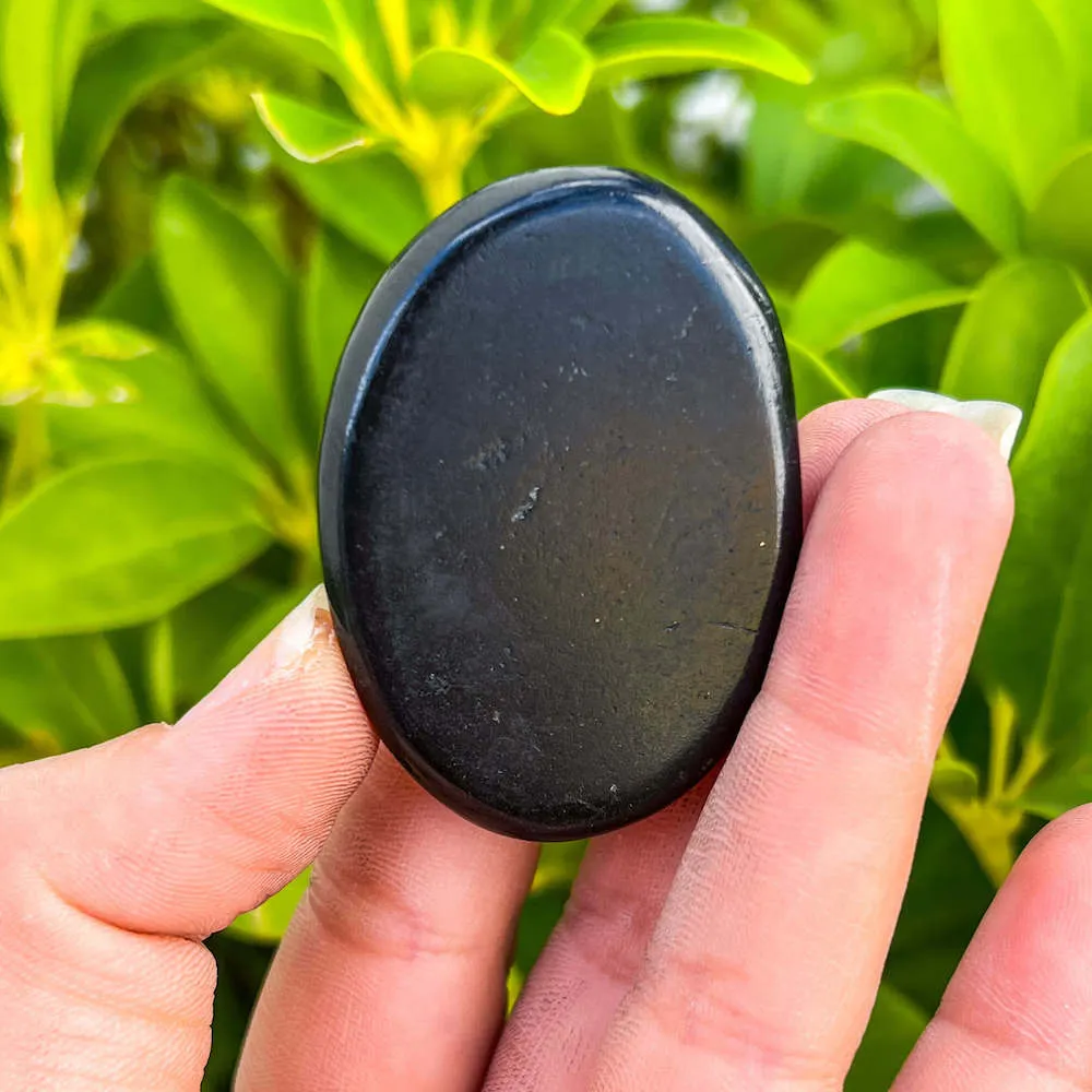 Natural Gemstone Palm Stone