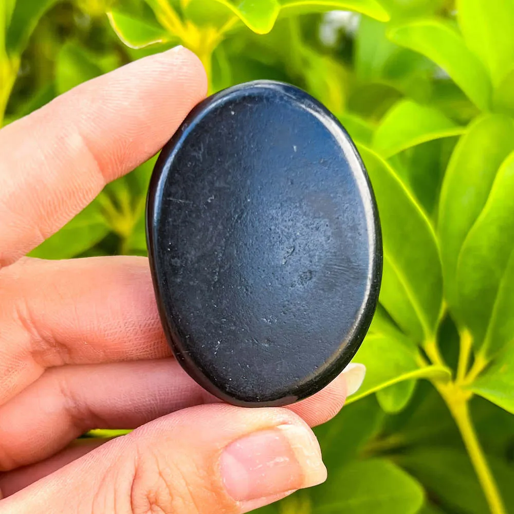 Natural Gemstone Palm Stone