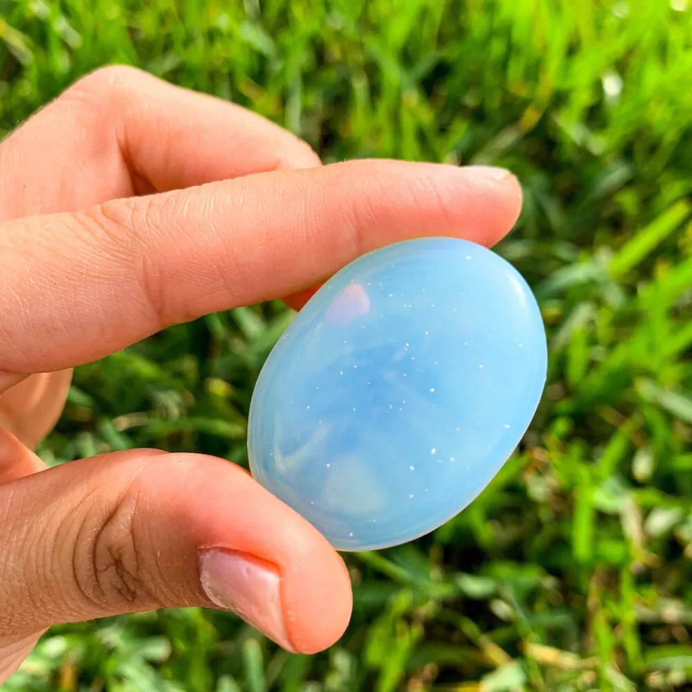 Natural Gemstone Palm Stone