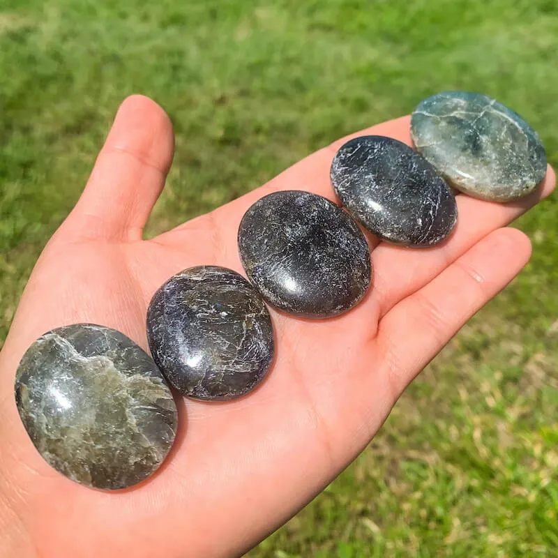 Natural Gemstone Palm Stone