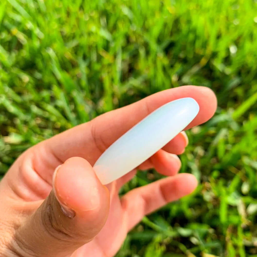 Natural Gemstone Palm Stone