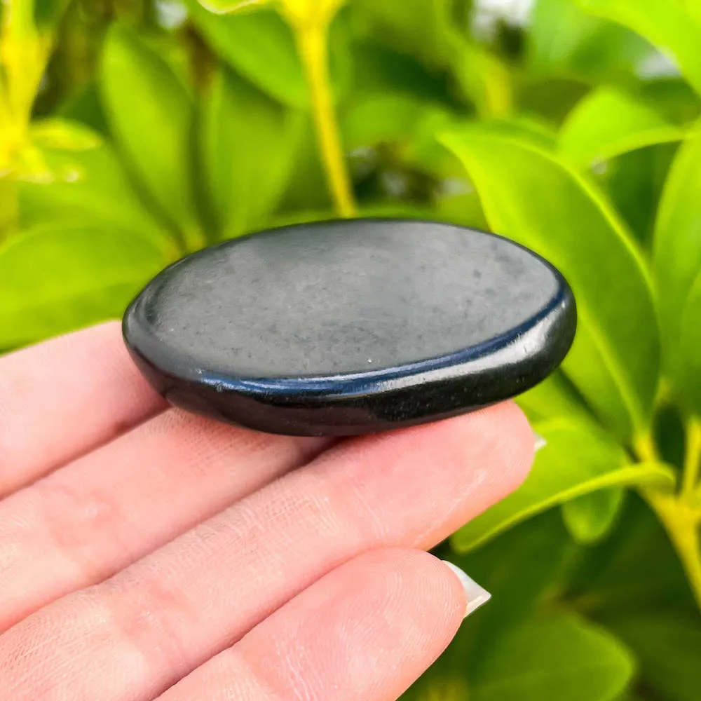 Natural Gemstone Palm Stone