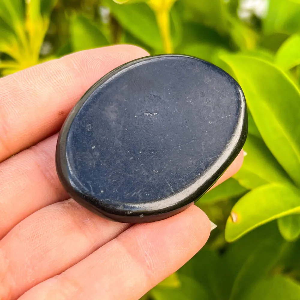 Natural Gemstone Palm Stone