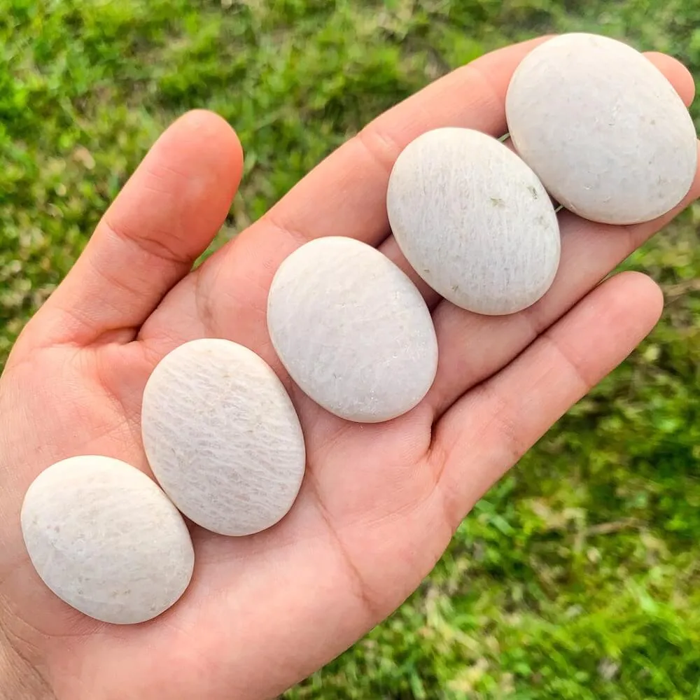 Natural Gemstone Palm Stone