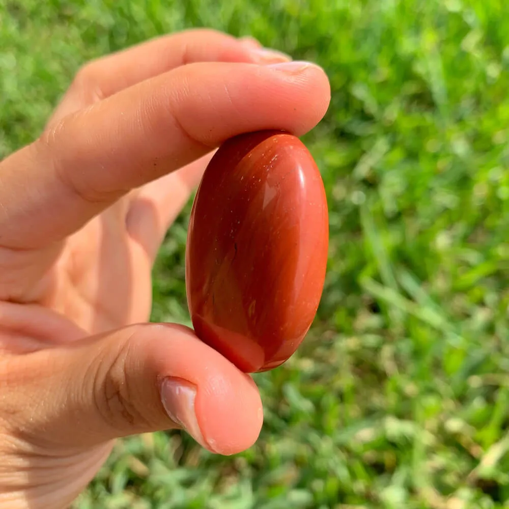 Natural Gemstone Palm Stone