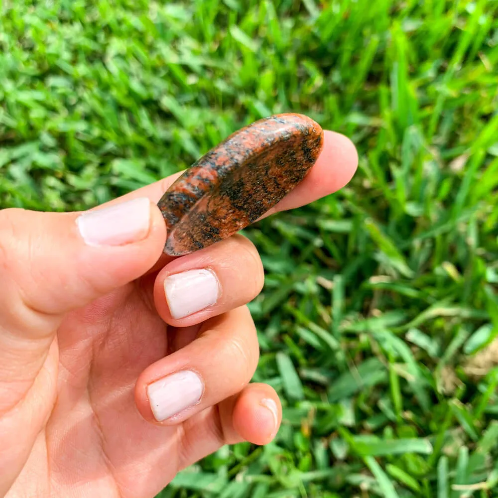 Natural Gemstone Palm Stone