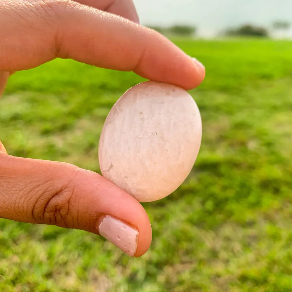 Natural Gemstone Palm Stone
