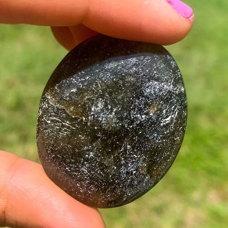 Natural Gemstone Palm Stone
