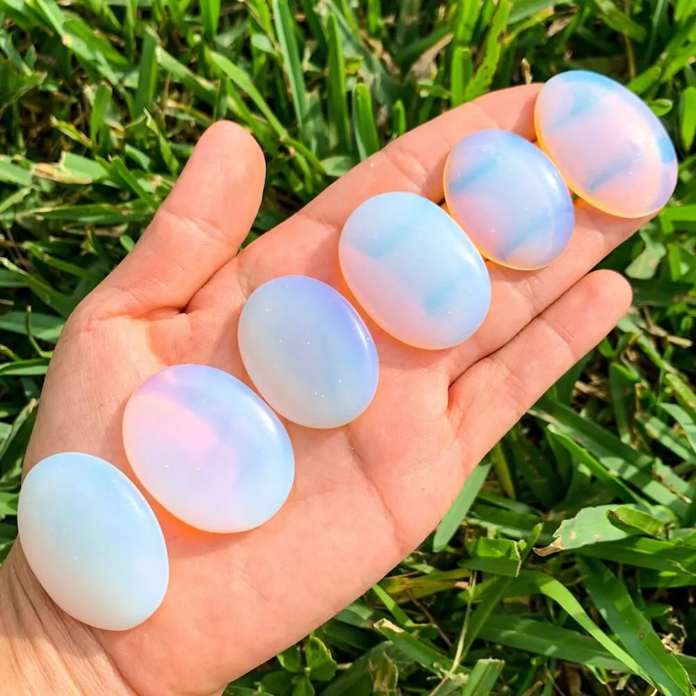 Natural Gemstone Palm Stone