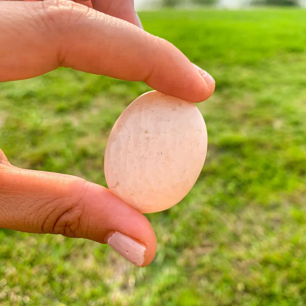 Natural Gemstone Palm Stone