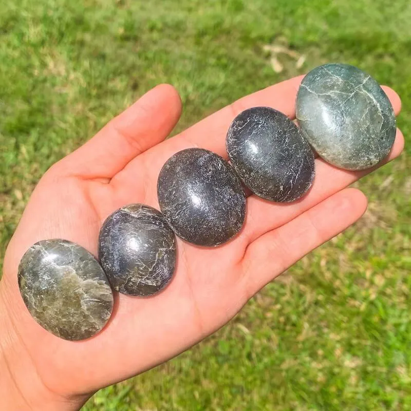 Natural Gemstone Palm Stone