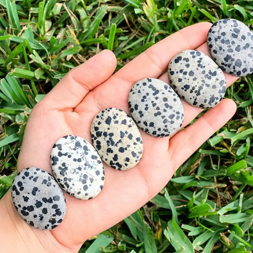 Natural Gemstone Palm Stone