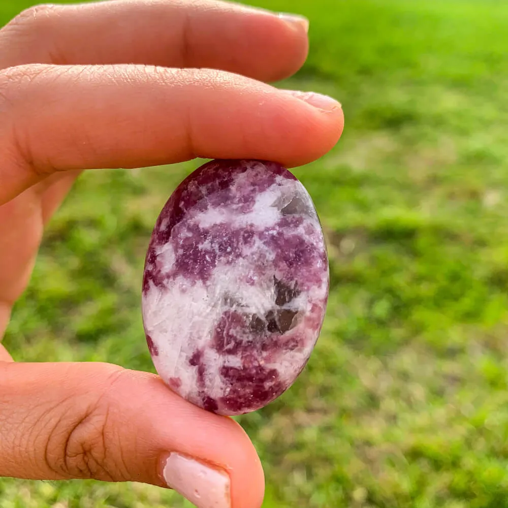Natural Gemstone Palm Stone