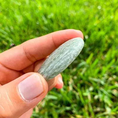 Natural Gemstone Palm Stone