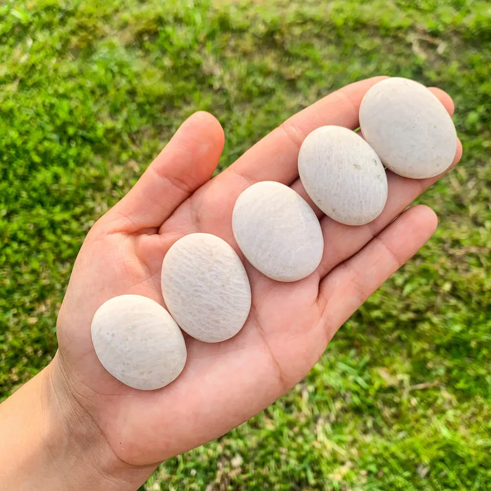 Natural Gemstone Palm Stone