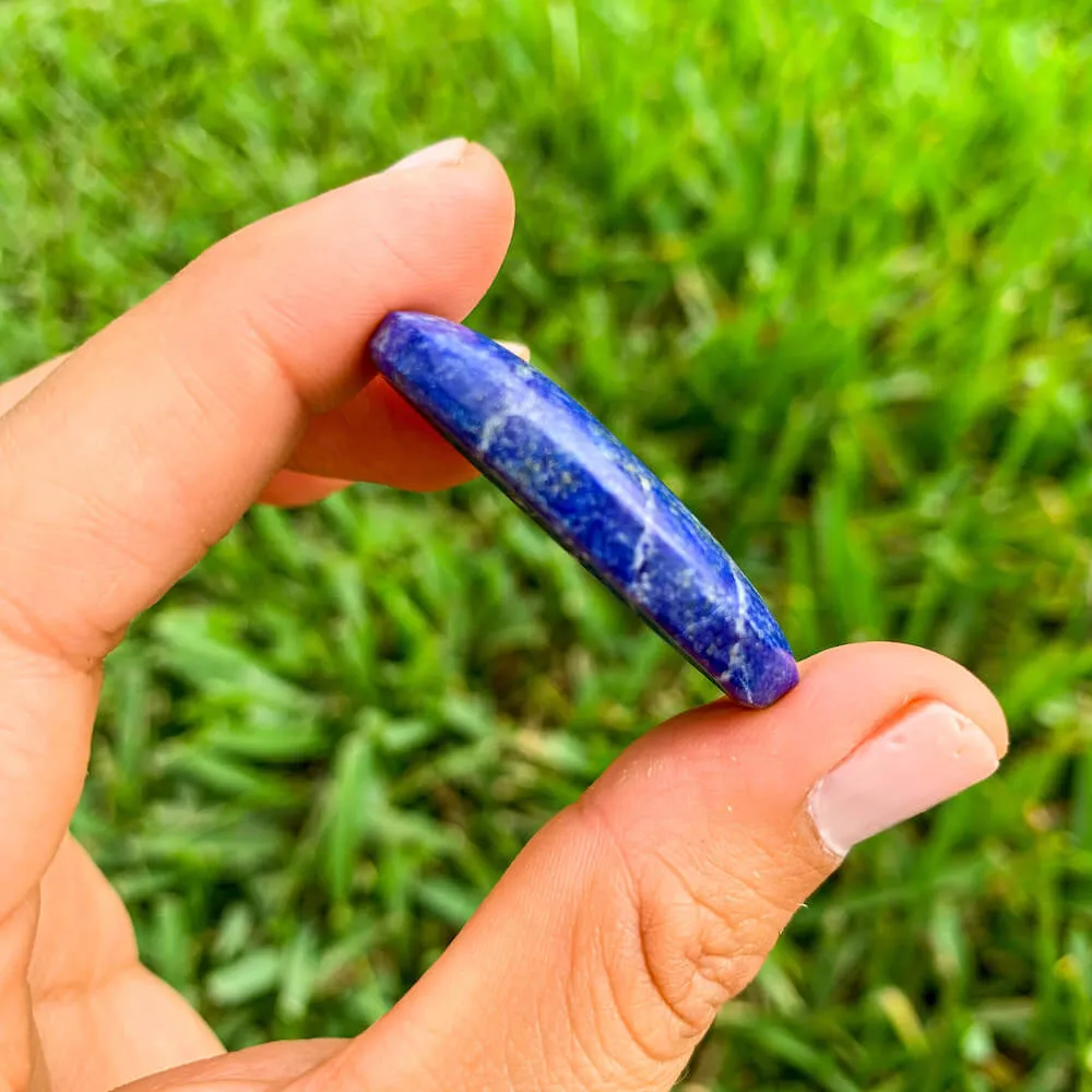 Natural Gemstone Palm Stone