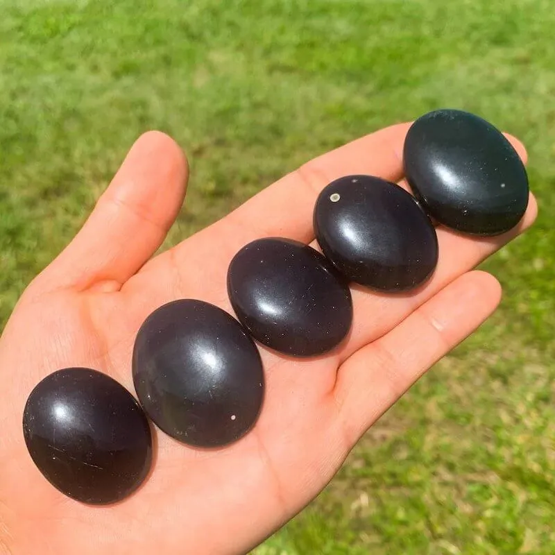 Natural Gemstone Palm Stone