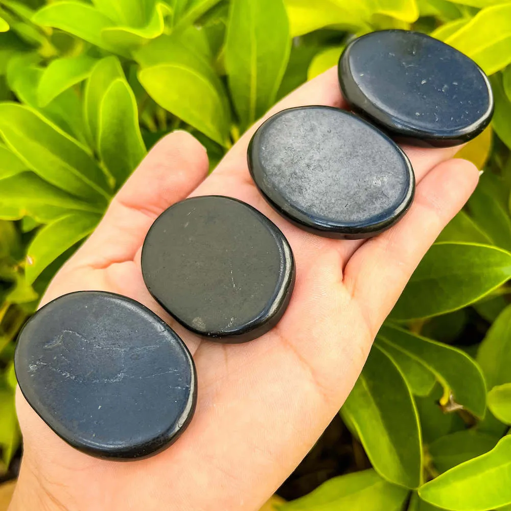 Natural Gemstone Palm Stone