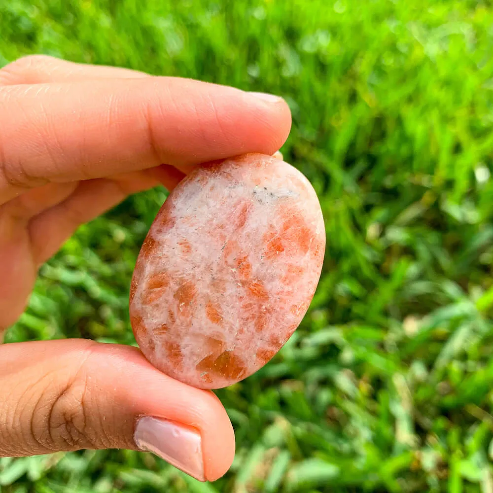 Natural Gemstone Palm Stone