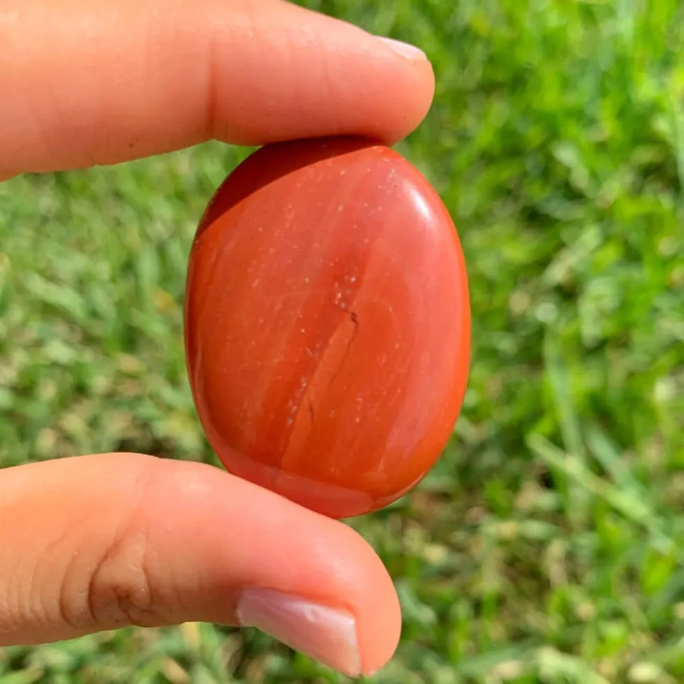 Natural Gemstone Palm Stone