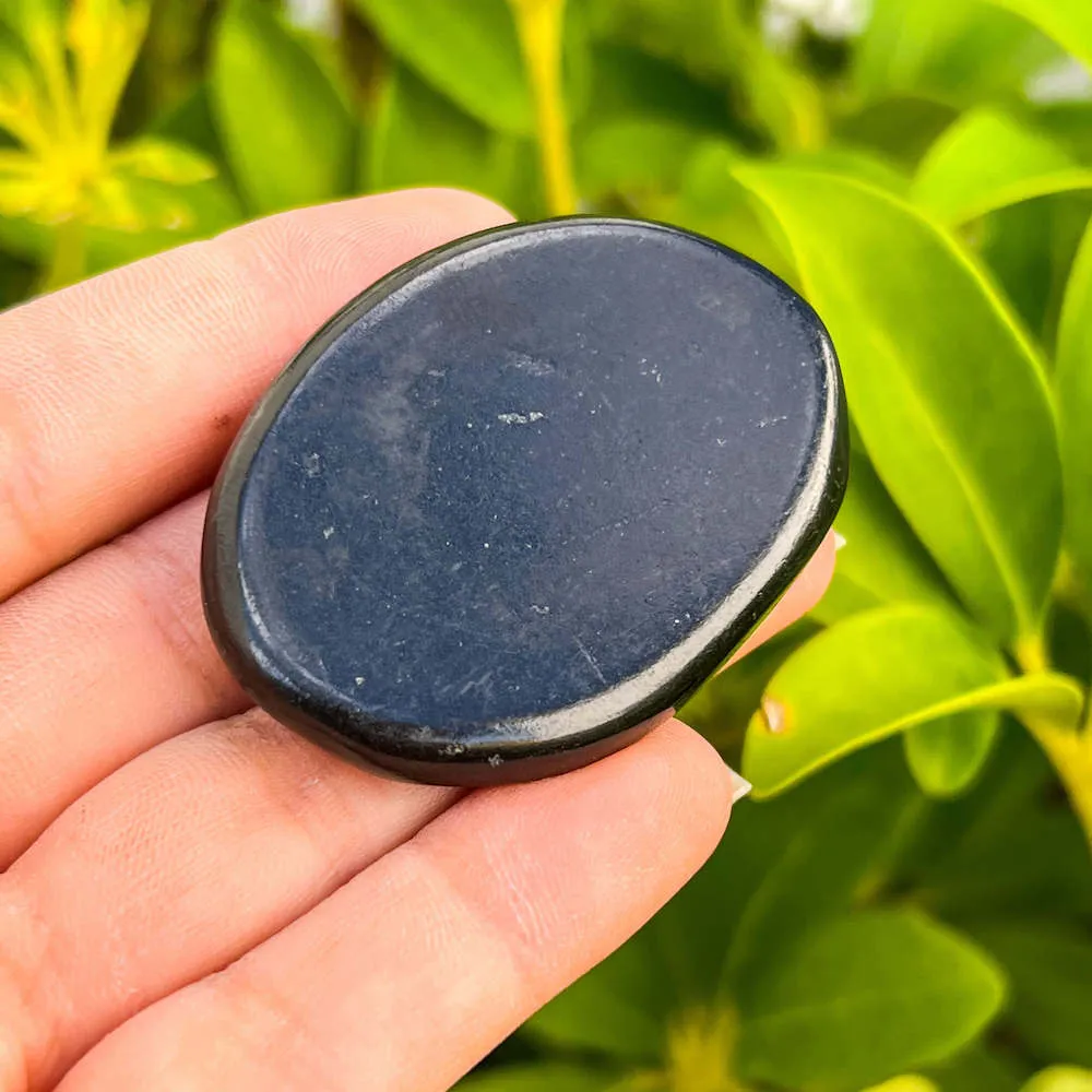 Natural Gemstone Palm Stone