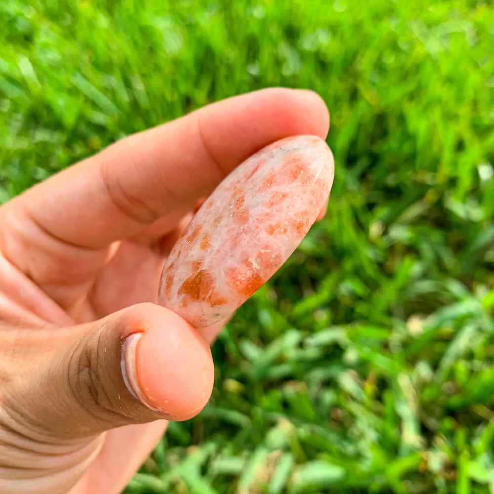 Natural Gemstone Palm Stone