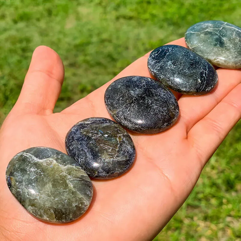 Natural Gemstone Palm Stone