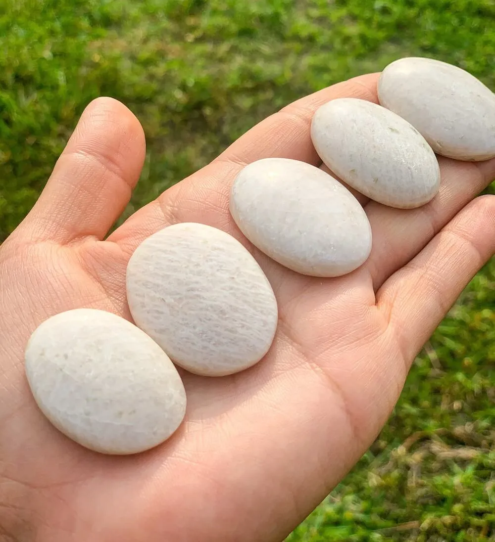 Natural Gemstone Palm Stone