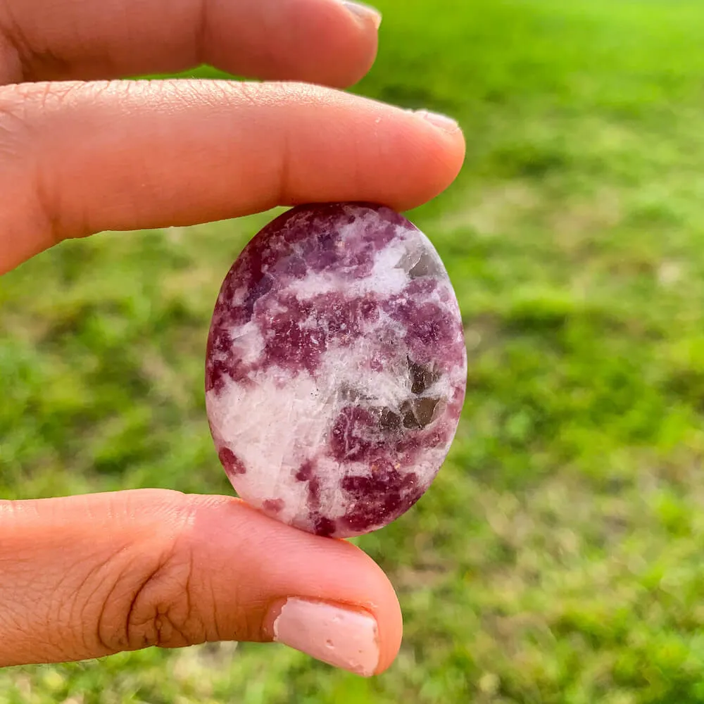 Natural Gemstone Palm Stone