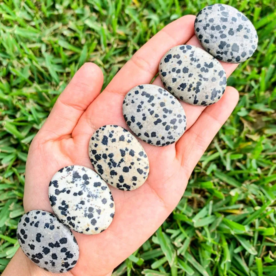 Natural Gemstone Palm Stone