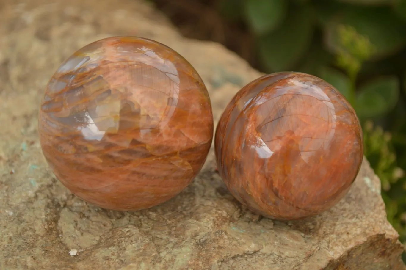 Polished Flashy Peach Moonstone Spheres  x 6 From Madagascar