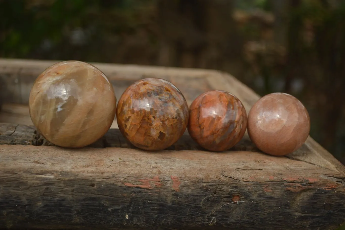 Polished Flashy Peach Moonstone Spheres  x 6 From Madagascar