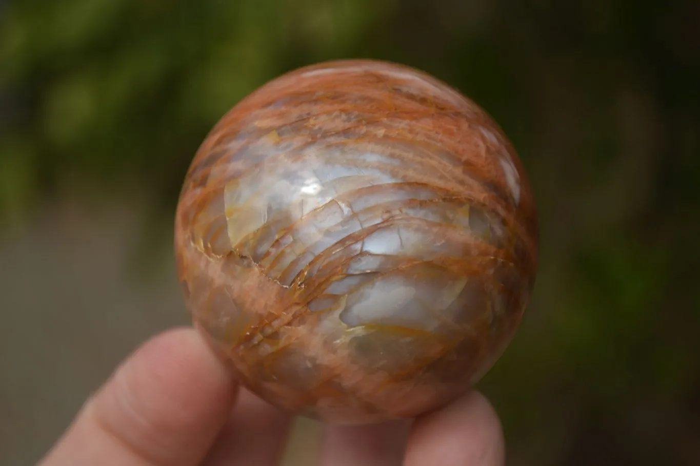 Polished Flashy Peach Moonstone Spheres  x 6 From Madagascar