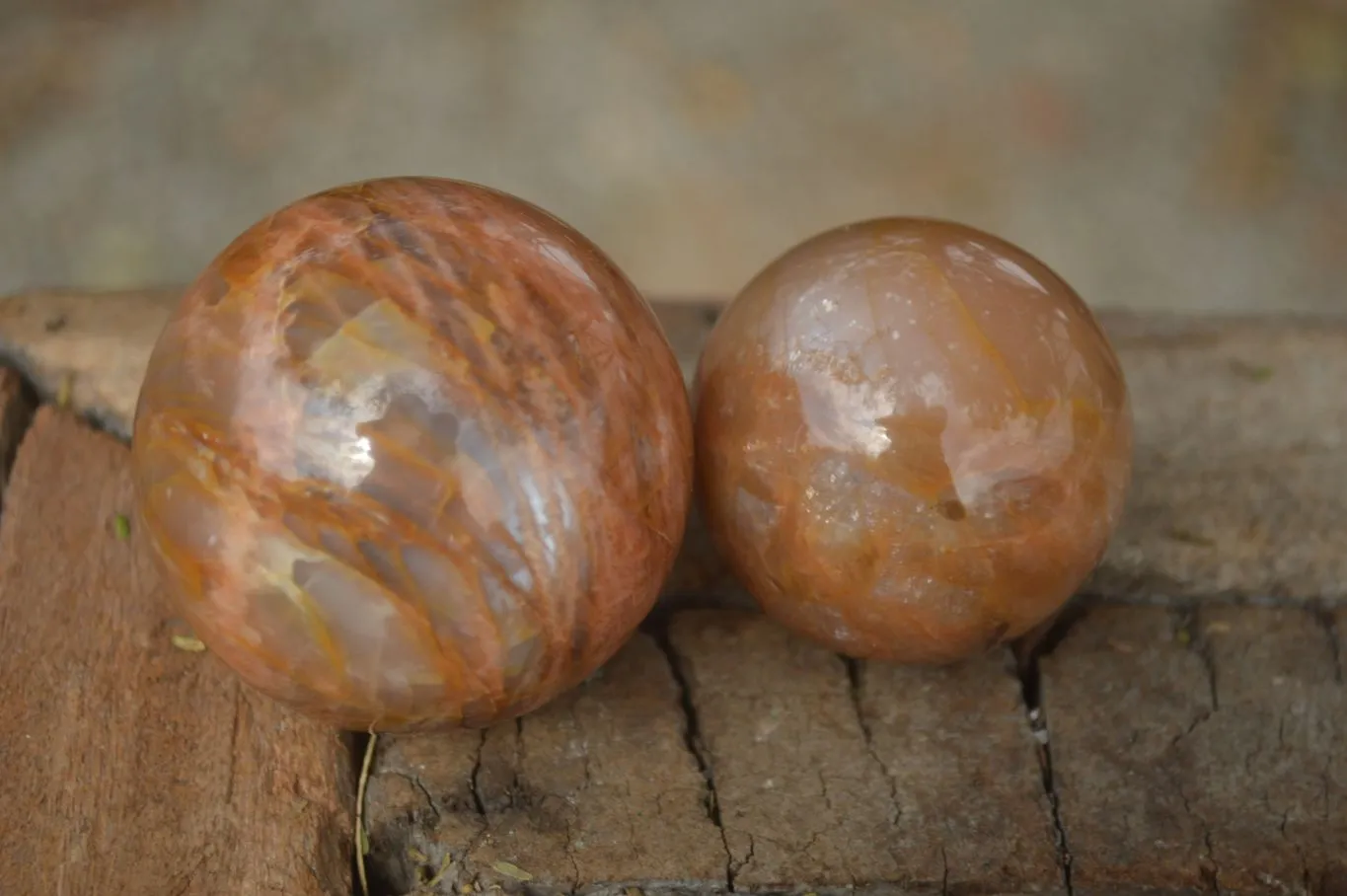 Polished Flashy Peach Moonstone Spheres  x 6 From Madagascar