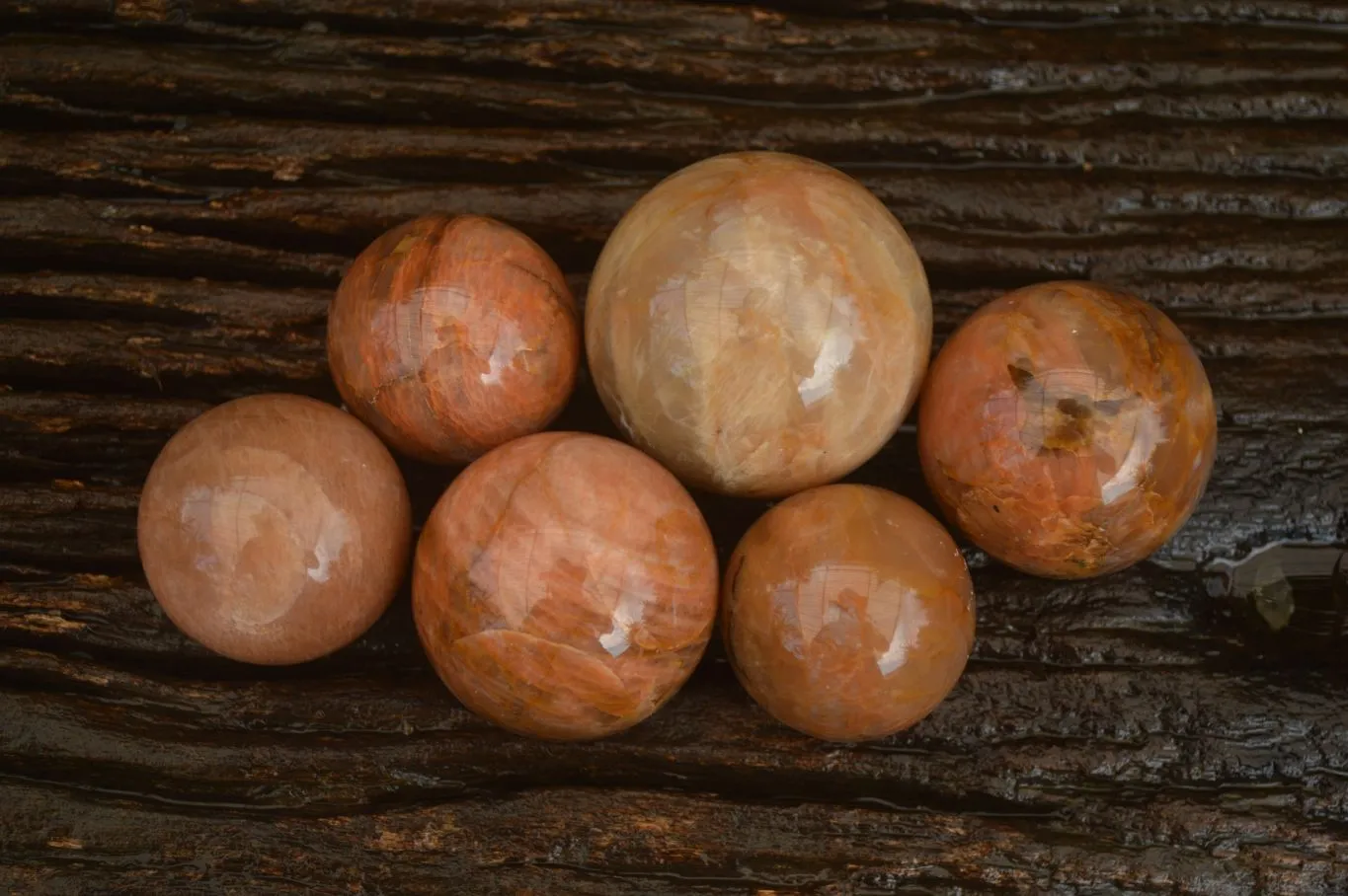 Polished Flashy Peach Moonstone Spheres  x 6 From Madagascar
