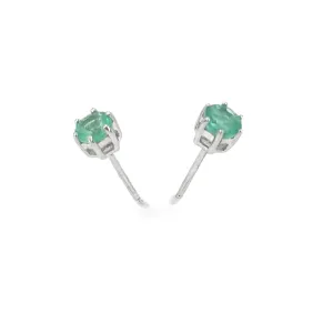 Women’s 9ct White Gold Six Claw Emerald Stud Earrings - 1g